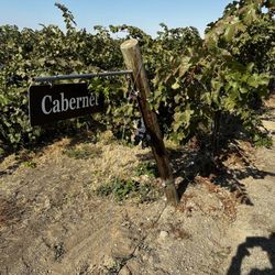 Bonair Winery - Cabernet