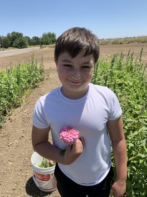 Photo of Mezger Family Zinnia Patch - Woodland, CA, US.