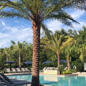 The Morgan Apartments - Pool - Apartments Near Me - Orlando, Florida The Morgan Apartments - Pool - Apartments Near Me - Orlando, Florida