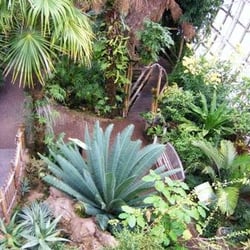 Myriad Botanical Gardens - Myriad Garden Crystal Bridge