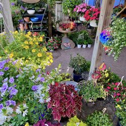 Silverbrook Nursery & Landscaping