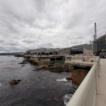 The Open Sea - Aquariums Near Me - Monterey, California The Open Sea - Aquariums Near Me - Monterey, California