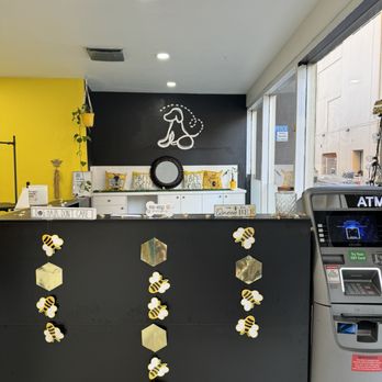 Bizi Bees Dog Spa - Front desk - Pet Groomers Near Me - Reno, Nevada Bizi Bees Dog Spa - Front desk - Pet Groomers Near Me - Reno, Nevada
