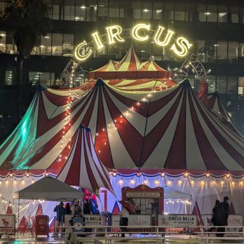 Circus Bella - Performing Arts Near Me - San Francisco, California Circus Bella - Performing Arts Near Me - San Francisco, California