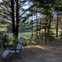 Photo of Honey Bear by the Sea RV Resort and Campground