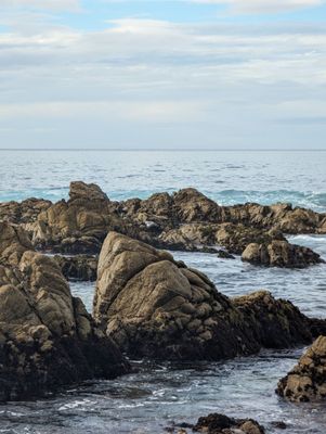 Asilomar Hotel and Conference Grounds by null