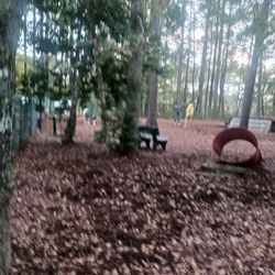 Surf City Bark Park