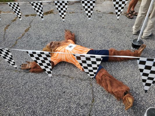 SOUTH CAROLINA BIGFOOT FESTIVAL - 19 Photos - Festivals - 104 Augusta