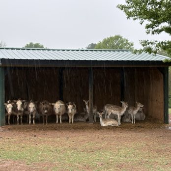 Nova Wild - Where's the ark?! - Petting Zoos Near Me - Vienna, Virginia Nova Wild - Where's the ark?! - Petting Zoos Near Me - Vienna, Virginia