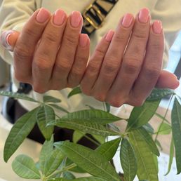Gel Manicure