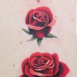 Private Stock Tattoo - Three roses I got along my spine. This was taken immediately after Sean finished. BEAUTIFUL! I'm in love with my first tattoo