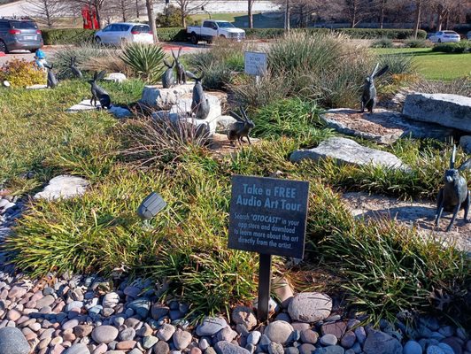 Texas Sculpture Garden by null