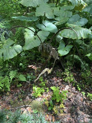 Kanapaha Botanical Gardens by null