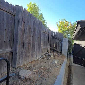 Alejandro's Tree Service - After - Tree Services Near Me Alejandro's Tree Service - After - Tree Services Near Me