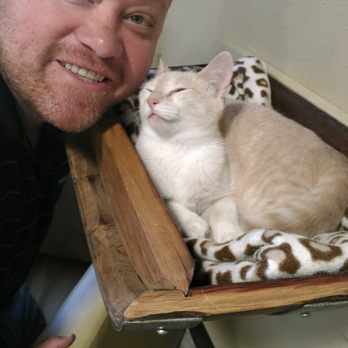 Orlando Cat Cafe - Animal Shelters Near Me - Clermont, Florida Orlando Cat Cafe - Animal Shelters Near Me - Clermont, Florida