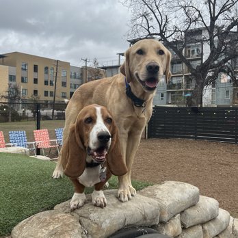 Hops & Hounds - Dog Parks Near Me - San Antonio, Texas