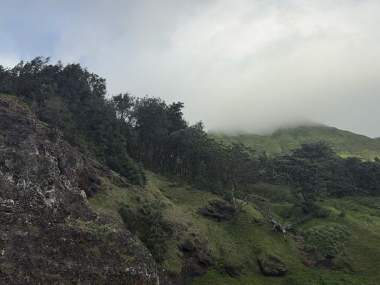 Nuʻuanu Pali Lookout by null