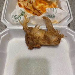 Thai chili Wing complete with wing tip and multiple feathers