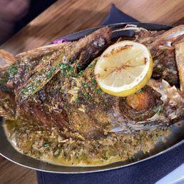 Red snapper