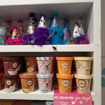 Southern Paws - Pet Stores Near Me - New Orleans, Louisiana Southern Paws - Pet Stores Near Me - New Orleans, Louisiana