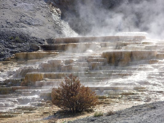 Mammoth Hot Springs by null
