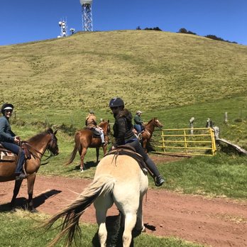 Na'alapa Stables - Horseback Riding Near Me - Kamuela, Hawaii