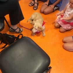 Animall Pet Adoption & Outreach Ctr - Adopt!