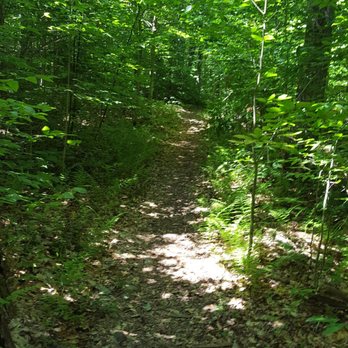 Gouldsboro State Park - Lakeside Trail - Hiking Near Me - Gouldsboro, Pennsylvania Gouldsboro State Park - Lakeside Trail - Hiking Near Me - Gouldsboro, Pennsylvania