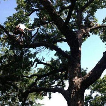 Dustin's Tree Care - Tree Services Near Me Dustin's Tree Care - Tree Services Near Me