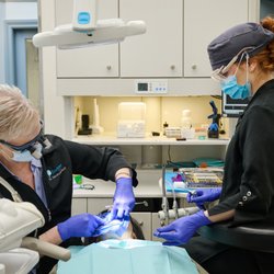 Finch Tree Dental