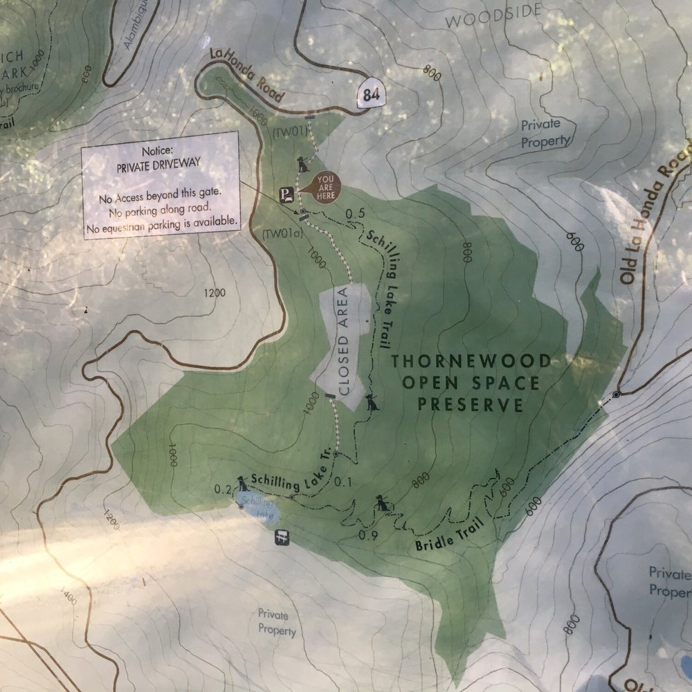 Thornewood Preserve - Only 2 trails, 3 miles only, dog allowed - Parks Near Me - Woodside, California Thornewood Preserve - Only 2 trails, 3 miles only, dog allowed - Parks Near Me - Woodside, California