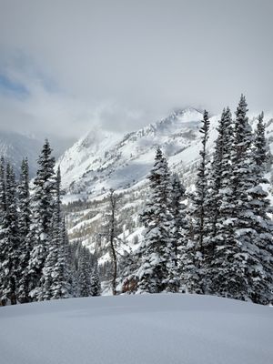 Alta Ski Area by null