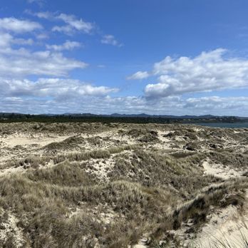 Harbor Vista County Park - Windy day at the park. - Parks Near Me - Florence, Oregon Harbor Vista County Park - Windy day at the park. - Parks Near Me - Florence, Oregon