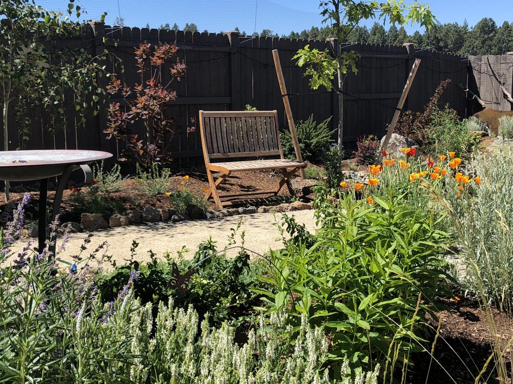 Slide of Blooming Desert Design + Build