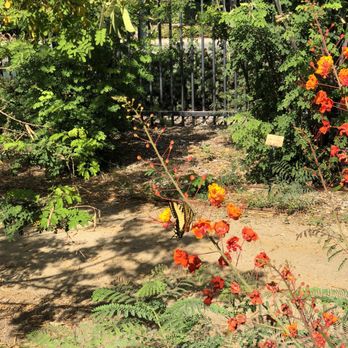 Clovis Botanical Garden - Botanical Gardens Near Me - Clovis, California