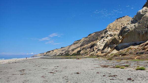 Black's Beach by null