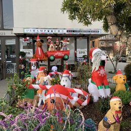 Exterior photo of Shampooch Dog Salon - Sausalito, California Exterior photo of Shampooch Dog Salon - Sausalito, California