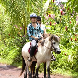 Silver Crest Farms