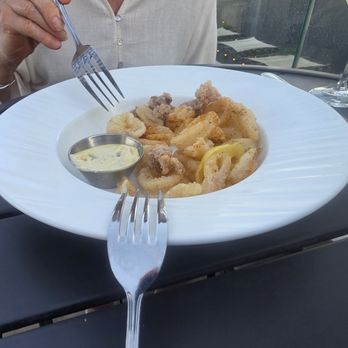 Altana Rooftop lounge - Calamari. Spicy shrimp, omg smokey mussels 10 - Lounges Near Me - Lancaster, Pennsylvania