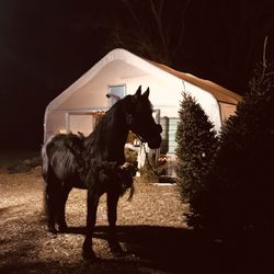 Full EnVision Farm - A beauty in her photoshoot