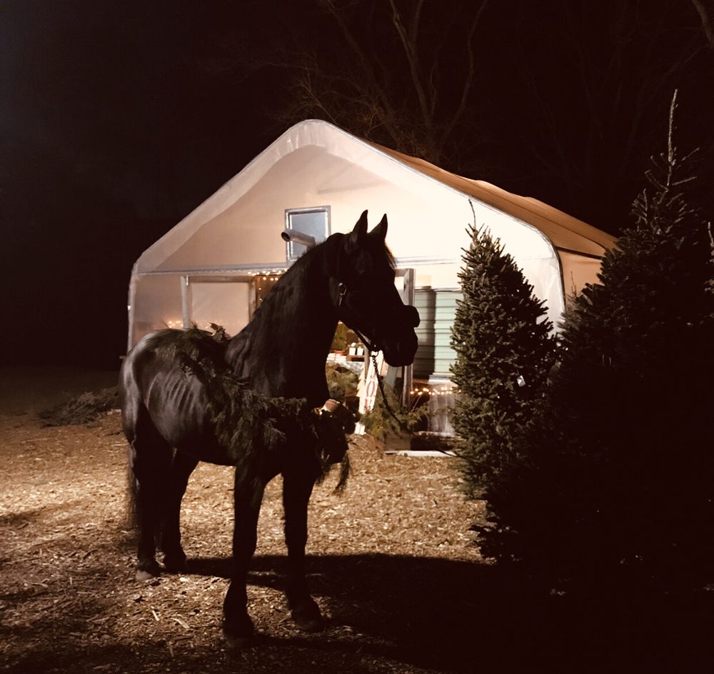 Full EnVision Farm - equestrian in Berkley, MA