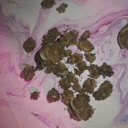 Skunked