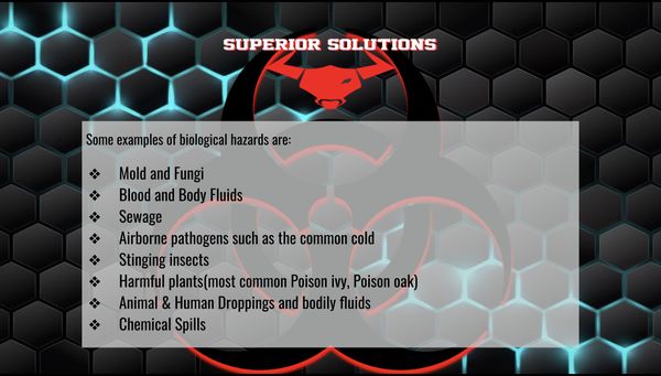 Superior Solutions Mobile Detailing