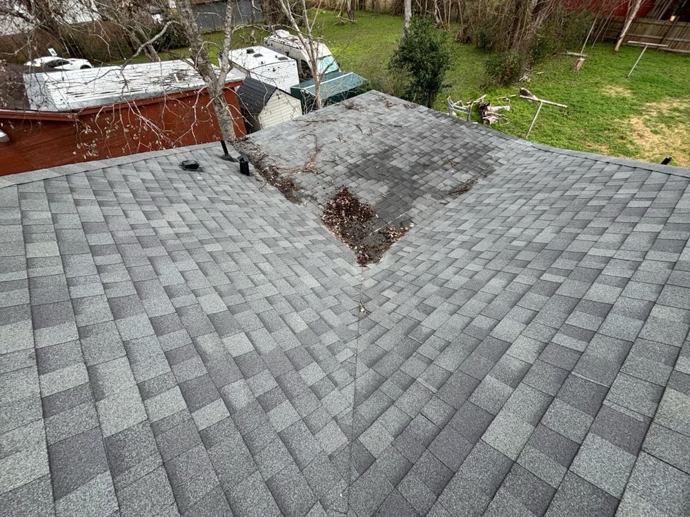 Slide of Paws and Build Construction