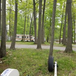 Shadylake Campground