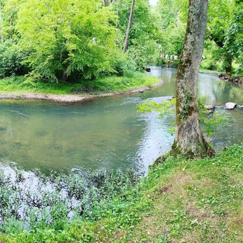 Spring Creek Campground - Spring Creek - Campgrounds Near Me - Clarksville, Tennessee Spring Creek Campground - Spring Creek - Campgrounds Near Me - Clarksville, Tennessee