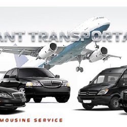 Elegant Town Car Transportation