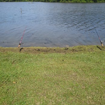Lake Shamrock-Blaylock - Fishing Near Me - Atlanta, Georgia Lake Shamrock-Blaylock - Fishing Near Me - Atlanta, Georgia