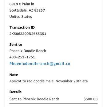 Azdoodles - Pet Breeders Near Me