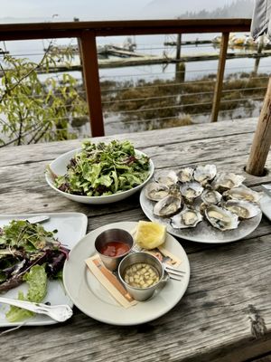 The Salmonberry by null